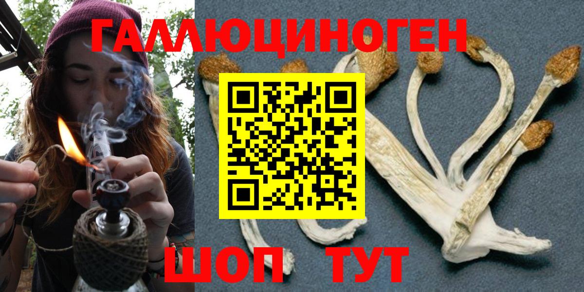 Псилоцибиновые грибы мухоморы  цены   Владивосток  Псилоцибиновые грибы Cubensis  Вход с VPN 